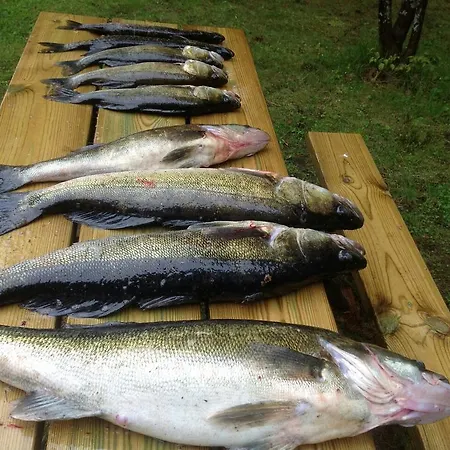 Rantakallio With Jacuzzi ヴィラ Melkoniemi