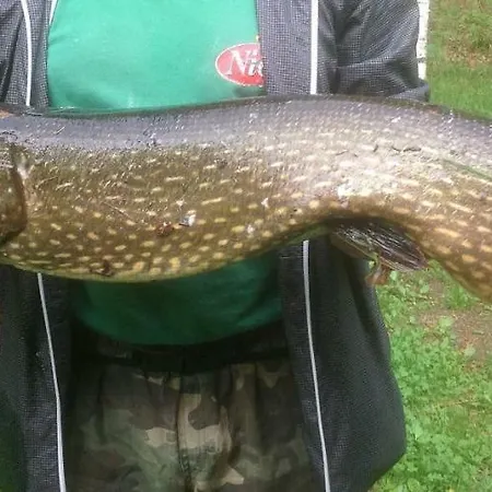 Villa Rantakallio With Jacuzzi