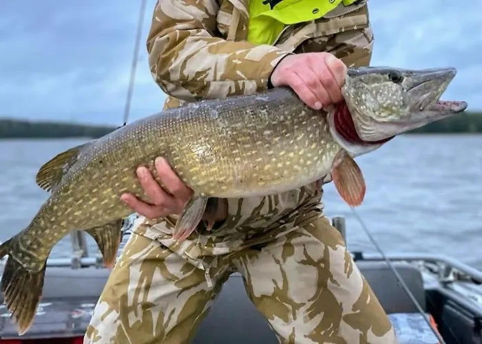 Rantakallio With Jacuzzi Villa