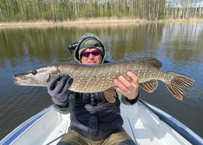 Villa Rantakallio With Jacuzzi *