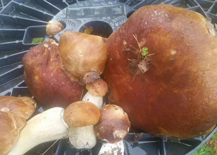 Villa Rantakallio With Jacuzzi