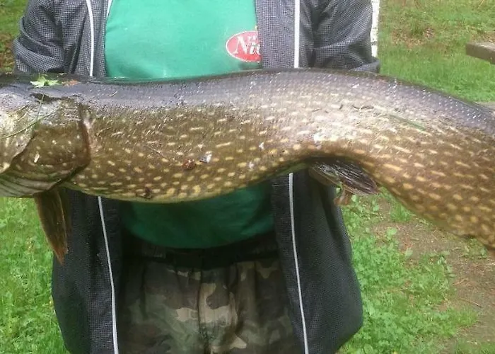 Villa Rantakallio With Jacuzzi